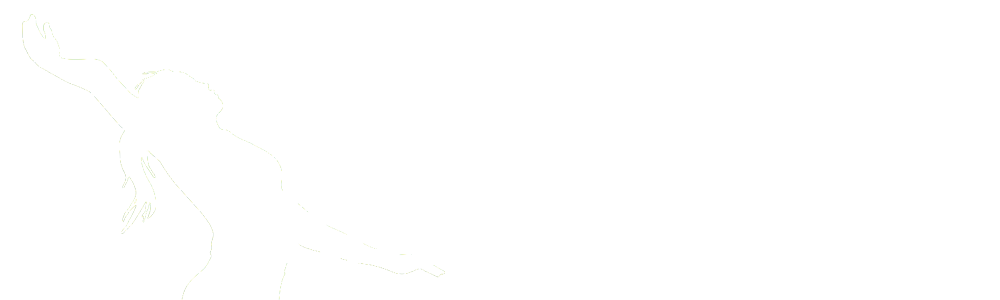 Odbojkaška regija Sjever